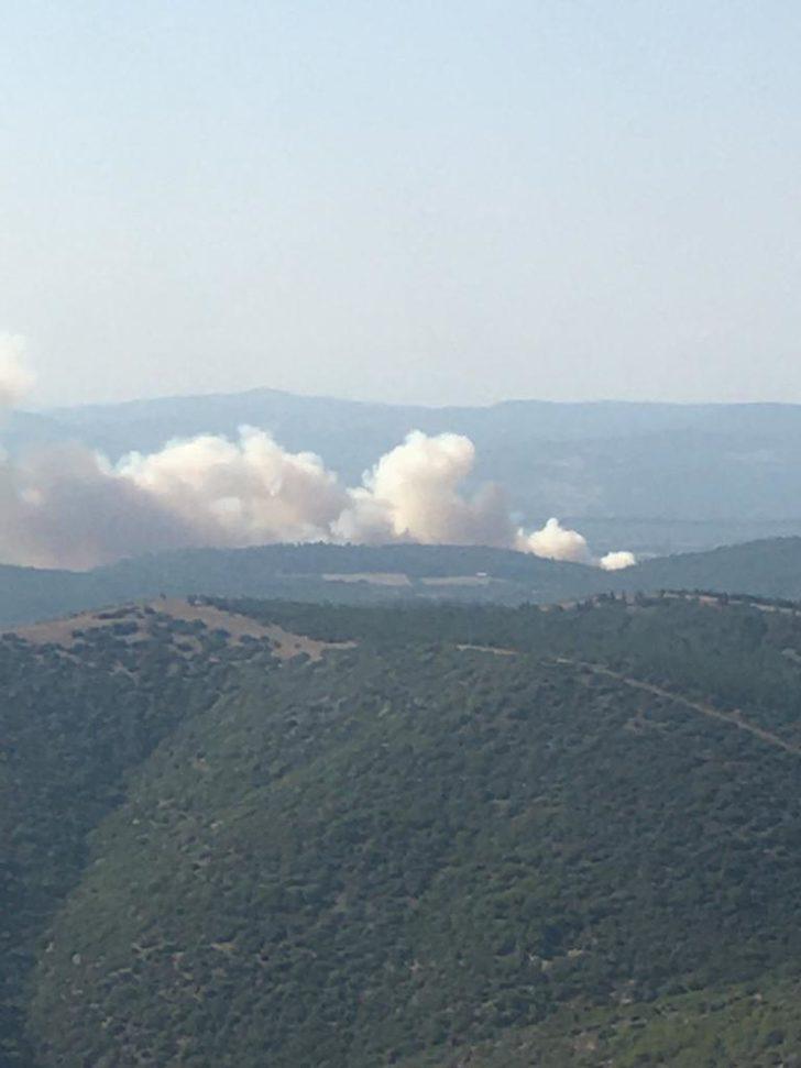 Manisa Soma'da bir orman yangını daha çıktı G2