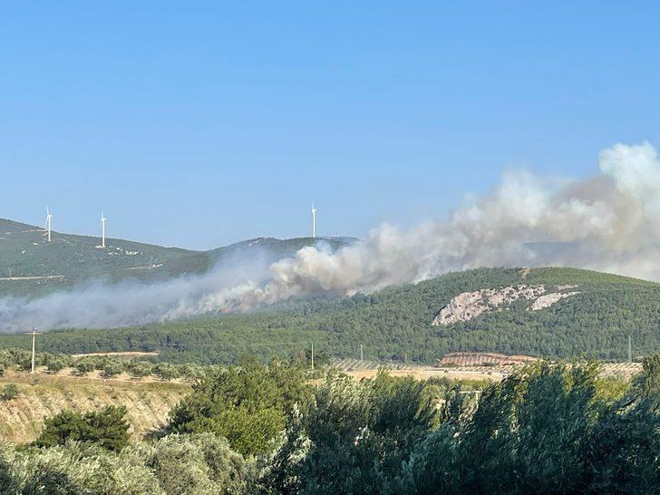 Manisa Soma'da bir orman yangını daha çıktı G5