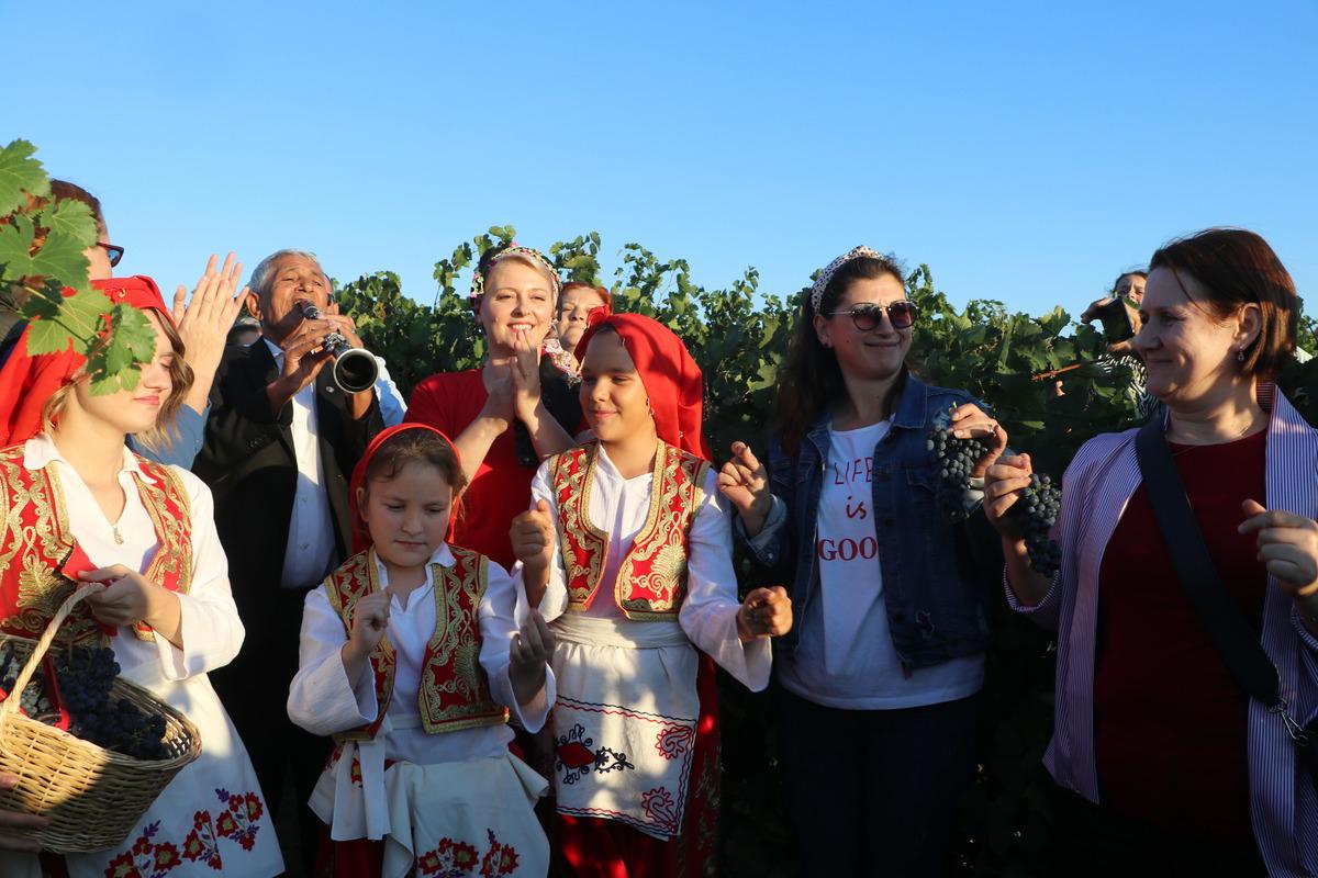 Edirne'de bağ bozumu şenliği d&uuml;zenlendi