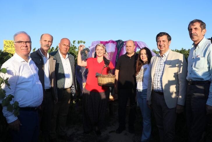 Edirne'de bağ bozumu şenliği düzenlendi G2