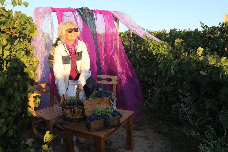 Edirne'de bağ bozumu şenliği düzenlendi G3