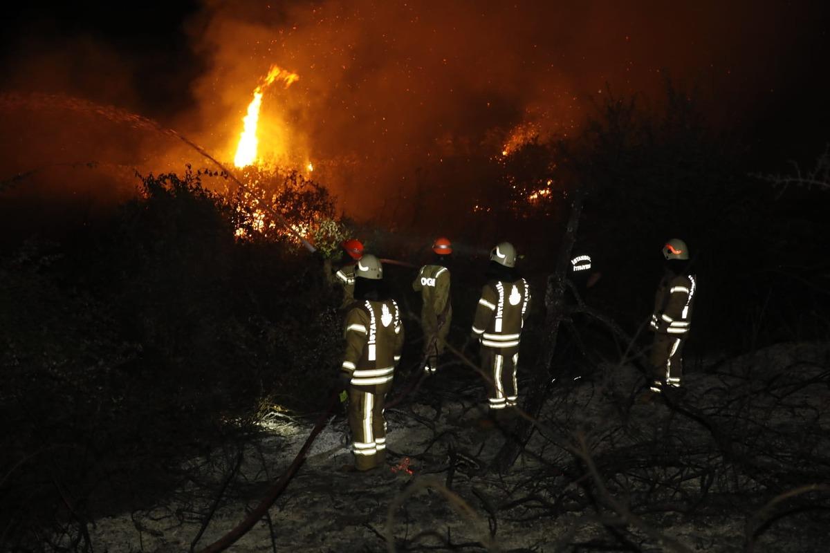 Arnavutk&ouml;y'de ormanlık alanda &ccedil;ıkan yangına m&uuml;dahale ediliyor
