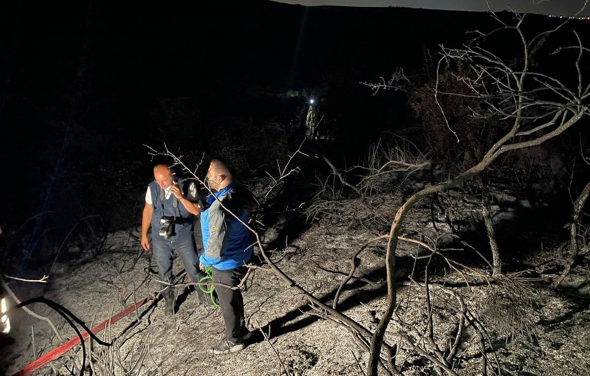 G&Uuml;NCELLEME - Arnavutk&ouml;y'de ormanlık alanda &ccedil;ıkan yangın kontrol altına alındı