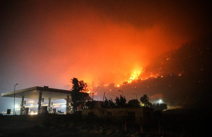 Mersin'deki orman yangınına müdahale sürüyor G3