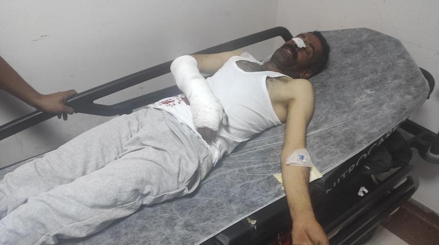 Bingöl'de ayı saldırısına uğrayan çoban yaralandı