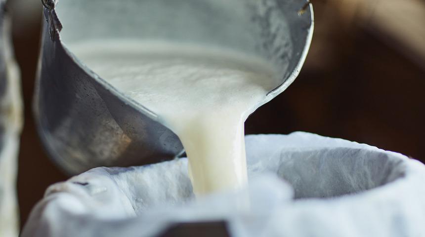 Bunca yıl sağlıklı diye bildik! En sağlıklı süt açıklandı: İnek sütü değil!
