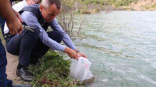 Karabük'te göl ve göletlere 20 bin sazan yavrusu bırakıldı
