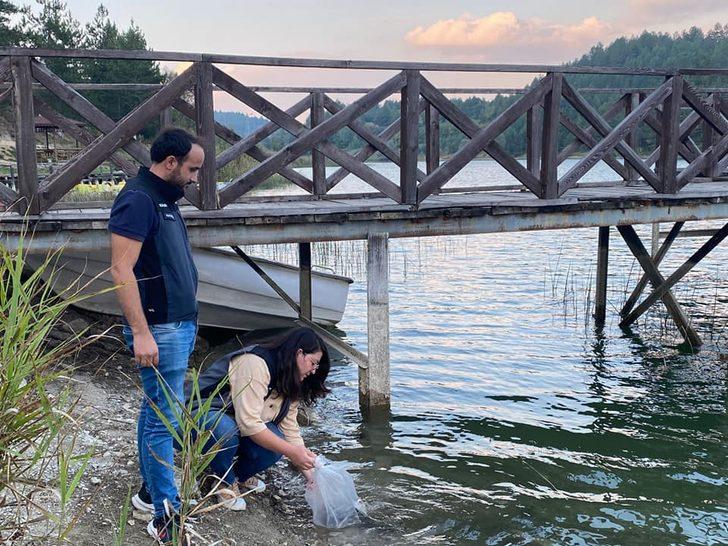 Karabük'te göl ve göletlere 20 bin sazan yavrusu bırakıldı G2