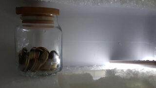 Hayat kurtaran yöntem: Buzdolabına bozuk para koyun ve olacakları bekleyin