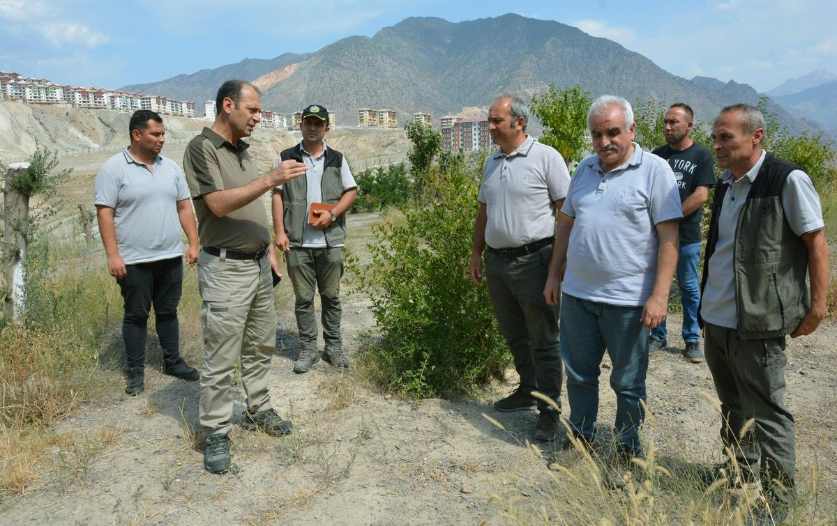 Yusufeli'nin yeni yerleşim yerinde 300 dekarlık alan ağa&ccedil;landırıldı