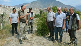 Yusufeli'nin yeni yerleşim yerinde 300 dekarlık alan ağaçlandırıldı