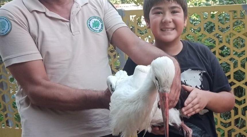 Osmaniye'de yaralı leylek tedavisinin ardından doğaya bırakıldı