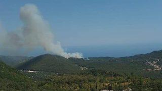 Demre'de ormanlık alanda yangın çıktı