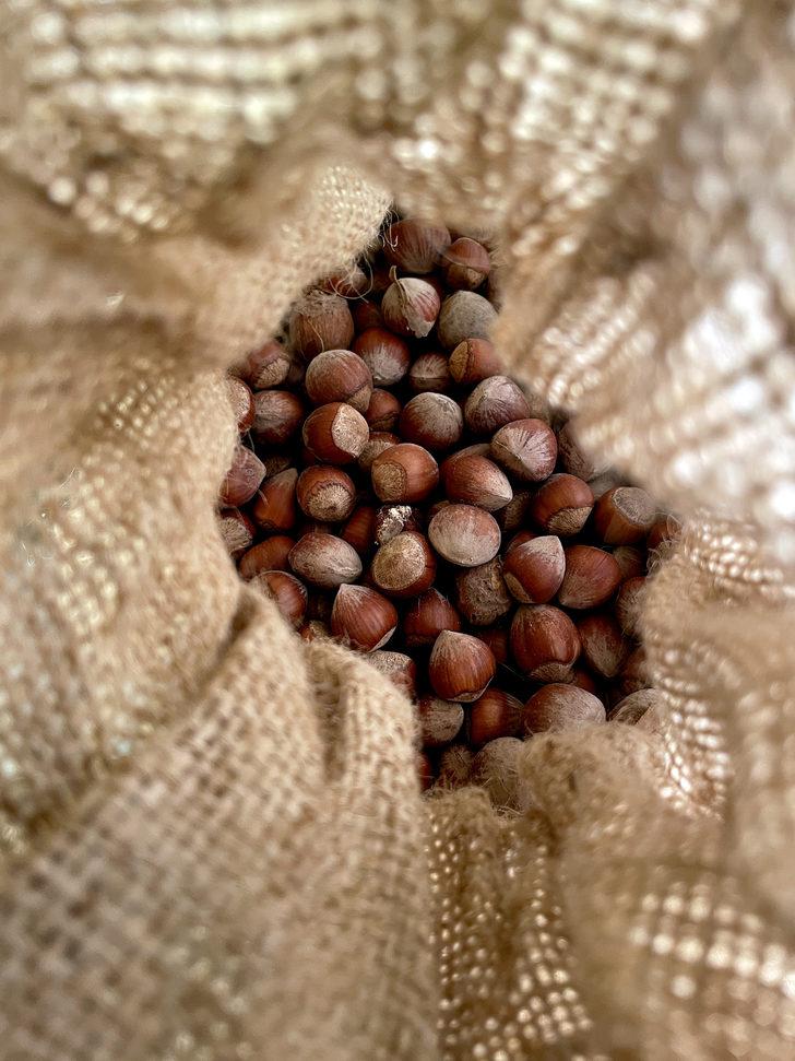 Sanayi ve Teknoloji Bakanlığı, 3 ayaklı "yeşil" projeyle fındığın değerini artıracak G5