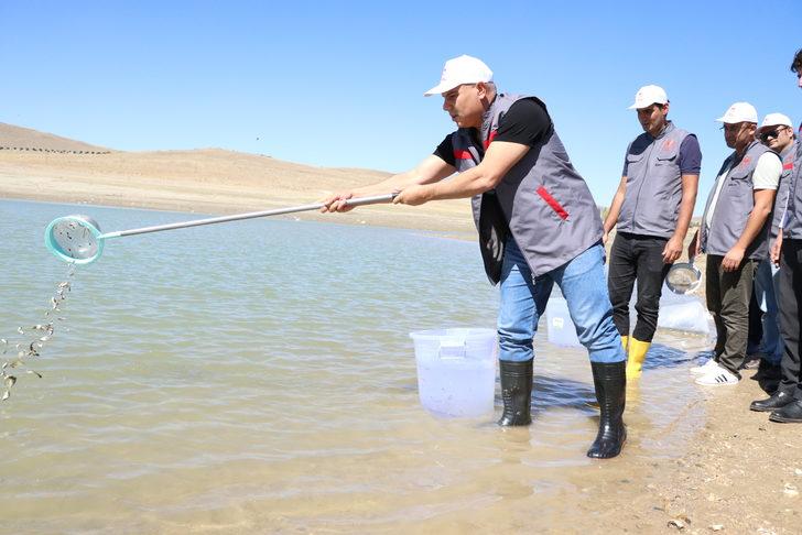 Niğde'de 8 gölete 52 bin sazan yavrusu bırakıldı G4