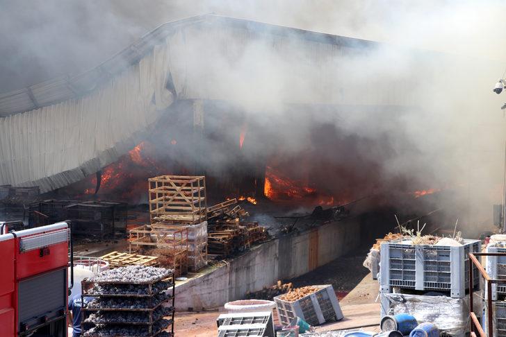 GÜNCELLEME - Manisa'da orman ürünleri fabrikasında çıkan yangın kontrol altına alındı G4