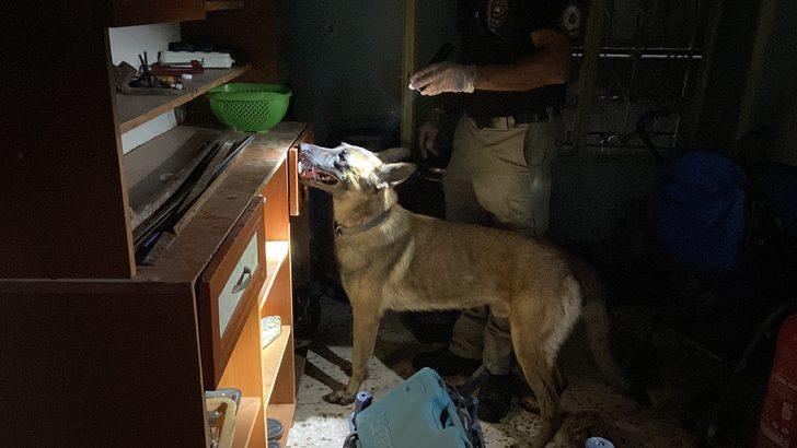 Hatay’da kaçakçılık ve uyuşturucu operasyonunda 6 şüpheli yakalandı G2