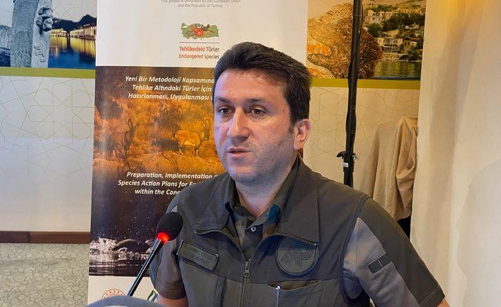 Harran Kertenkelesi Eylem Planı Çalıştayı başladı G4