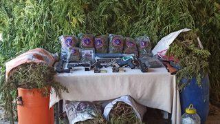 Sakarya'da 70 kilogram esrar ele geçirilen operasyonda 3 şüpheli yakalandı