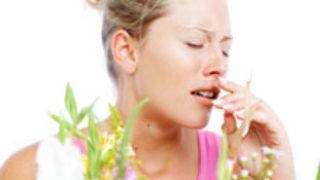 Eyvah! Polenler Geliyor! 