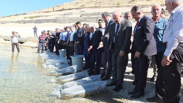 Elazığ'da üretilen sazan yavruları 101 su kaynağına bırakıldı G3