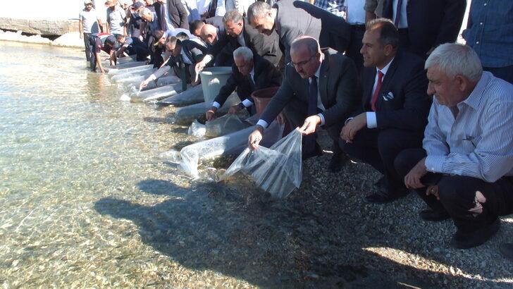 Elazığ'da üretilen sazan yavruları 101 su kaynağına bırakıldı G4