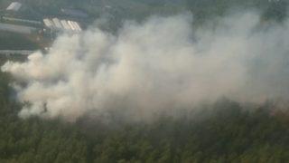 Muğla'da ormanlık alanda çıkan yangın söndürüldü