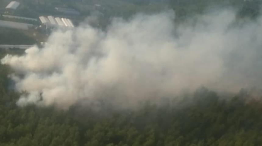 Muğla'da ormanlık alanda çıkan yangın söndürüldü