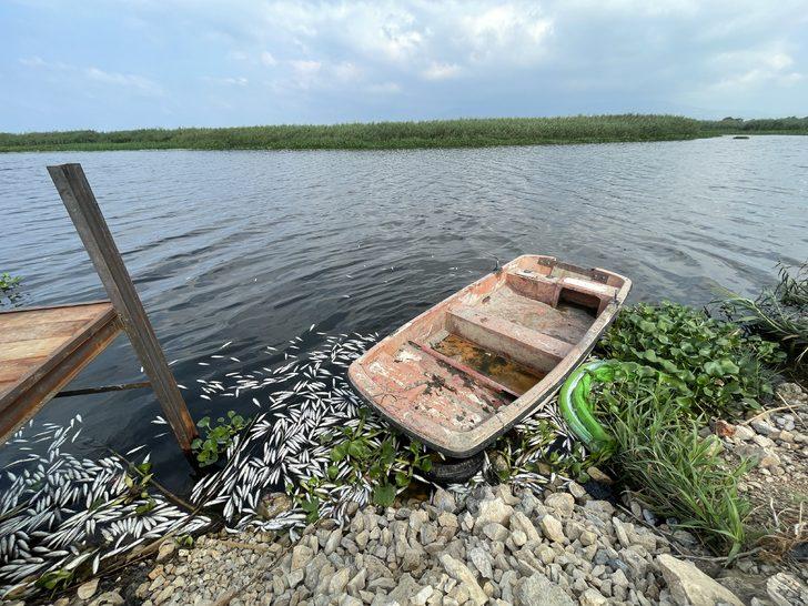 Hatay'daki balık ölümlerinin sebebi "yetersiz oksijen" G4