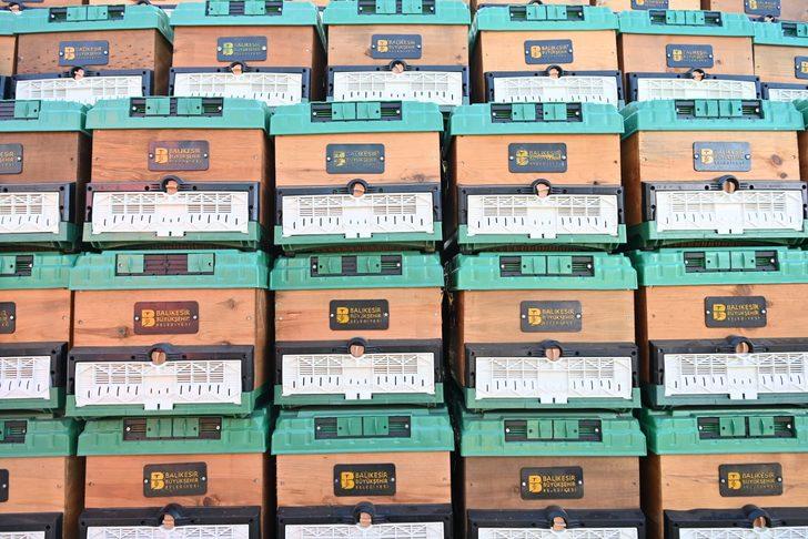 Balıkesir'de arı üreticilerine 3 bin kovan dağıtıldı G3