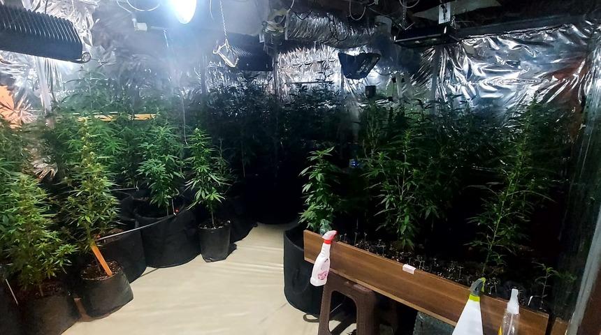 Çanakkale'de ısıtma ve aydınlatma düzeneği kurdukları evde saksılarda uyuşturucu üreten 2 kişi yakalandı