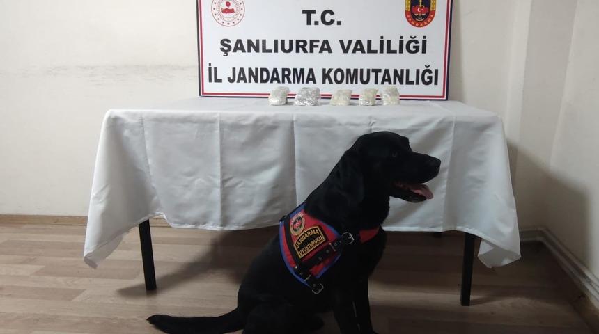 Şanlıurfa'da ka&ccedil;ak&ccedil;ılık operasyonunda 5 kişi g&ouml;zaltına alındı