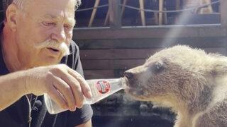 Nuri Alço yavru ayıya elleriyle gazoz içirdi