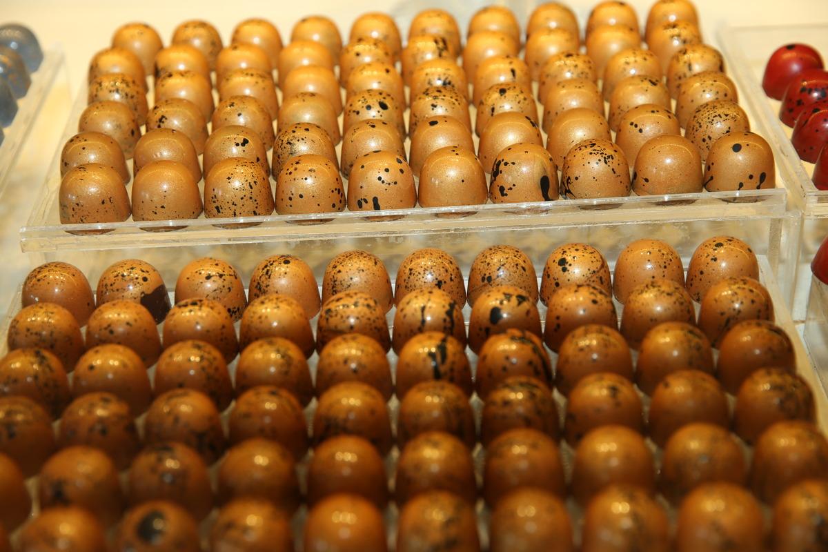 Fındık diyarı Ordu'daki "&Ccedil;ikolata Park" yabancı turistleri de ağırlıyor