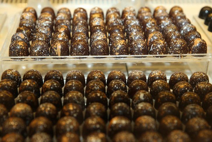 Fındık diyarı Ordu'daki "Çikolata Park" yabancı turistleri de ağırlıyor G3