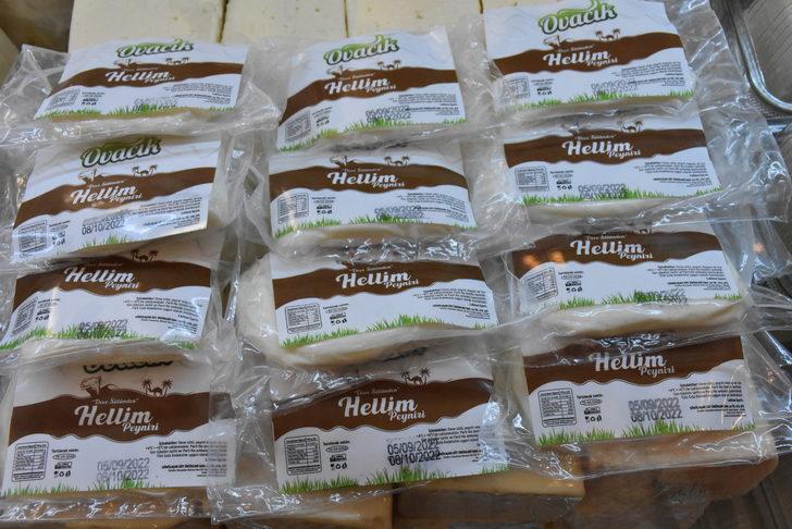 Aydın'da deve sütü peynirinin tanıtımı yapıldı G1