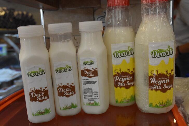 Aydın'da deve sütü peynirinin tanıtımı yapıldı G2