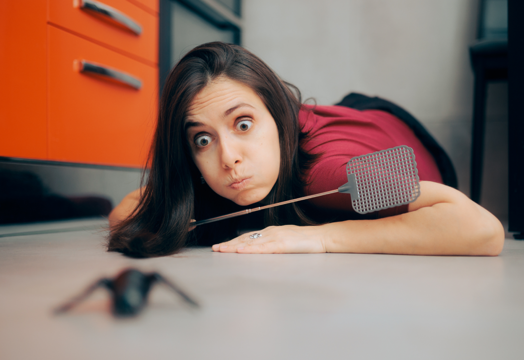 Tamamen kurtulacaksınız! &Ouml;r&uuml;mcekleri evden uzaklaştırmak i&ccedil;in &ccedil;ok etkili y&ouml;ntem 