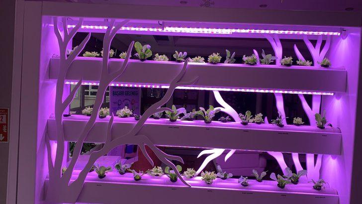 Antalya'da topraksız ve iklim değişikliğine dirençli tarım için inovasyon merkezi kurulacak G4