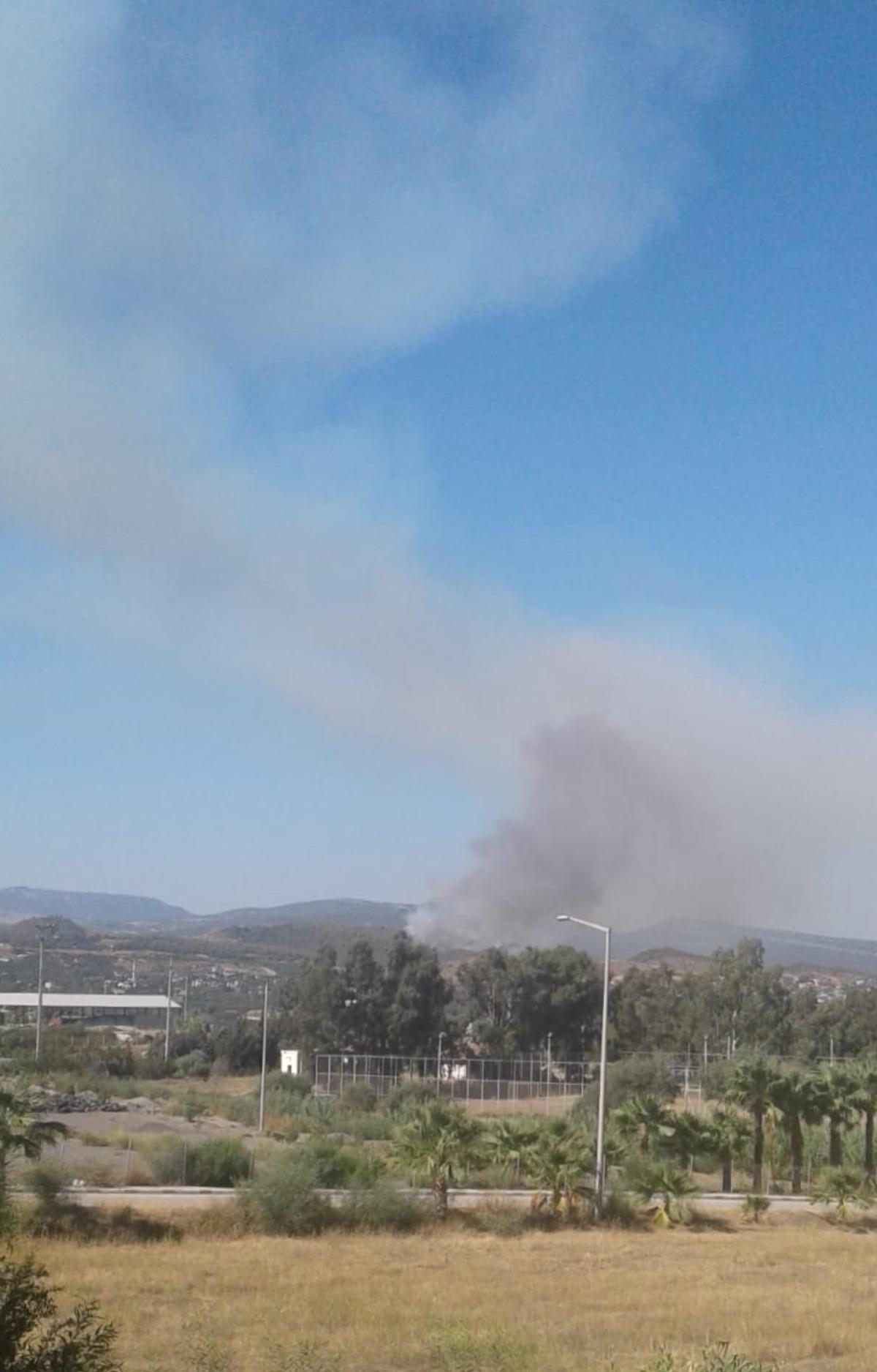 Mersin'de orman yangını &ccedil;ıktı