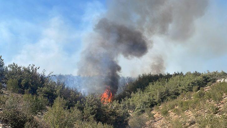 GÜNCELLEME - Mersin'de çıkan orman yangını kontrol altına alındı G3