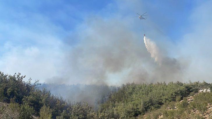 GÜNCELLEME - Mersin'de çıkan orman yangını kontrol altına alındı G5