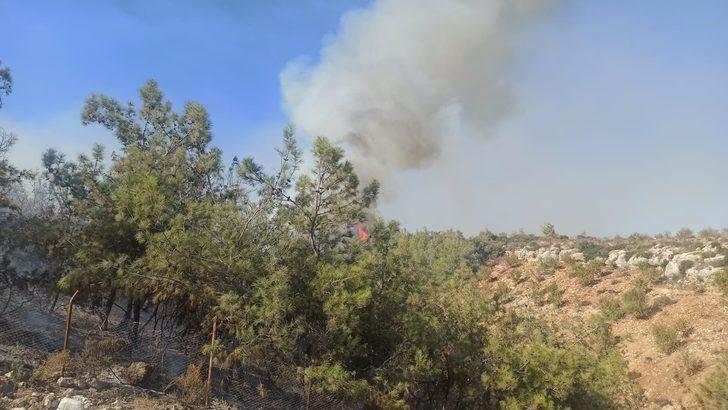 Mersin ve Denizli'de orman yangını! Rüzgarın etkisiyle hızla büyüdü... Bir ile daha çok yakın G5