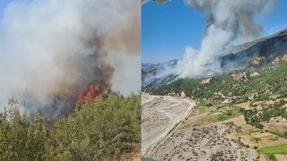 Mersin ve Denizli'de orman yangını! Rüzgarın etkisiyle hızla büyüdü... Bir ile daha çok yakın