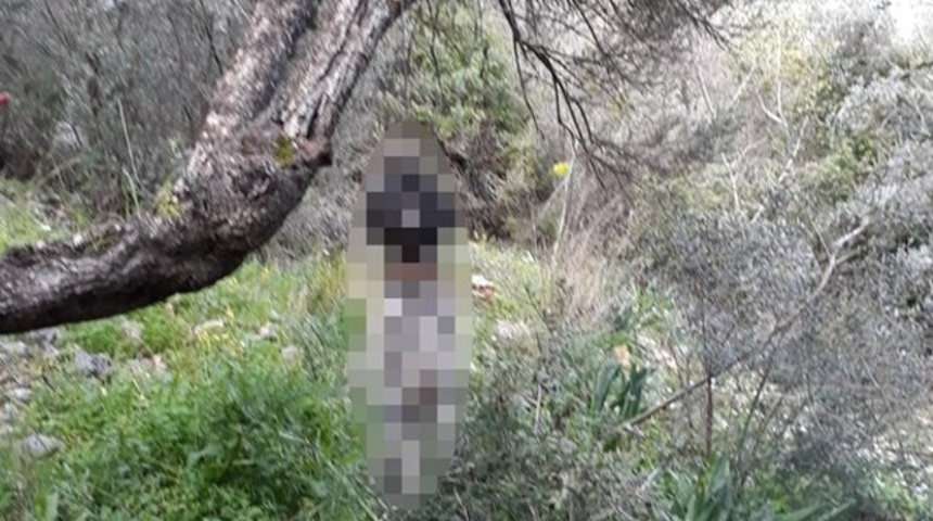 K&ouml;peği ağaca asarak &ouml;ld&uuml;rm&uuml;şt&uuml;! 6 ay sonra yakalandı, serbest bırakıldı