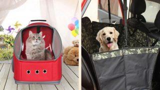 Evcil hayvanı olmadan seyahat edemeyenlerin hayatını kolaylaştıracak ürün önerileri