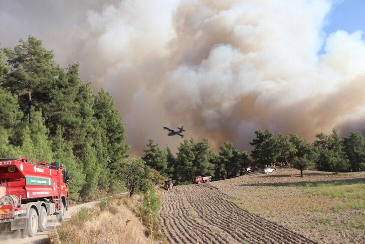 GÜNCELLEME 2 - Denizli-Muğla sınırında çıkan orman yangını kısmen kontrol altına alındı G1