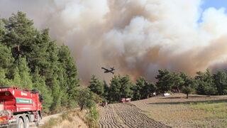 GÜNCELLEME 2 - Denizli-Muğla sınırında çıkan orman yangını kısmen kontrol altına alındı