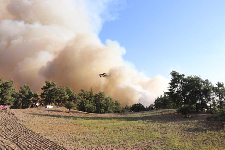 GÜNCELLEME 2 - Denizli-Muğla sınırında çıkan orman yangını kısmen kontrol altına alındı G2