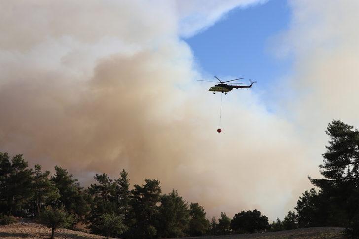 GÜNCELLEME 2 - Denizli-Muğla sınırında çıkan orman yangını kısmen kontrol altına alındı G3